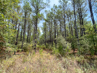 More details for Off Lost Indian Camp Road, Huntsville, TX - Land for Sale