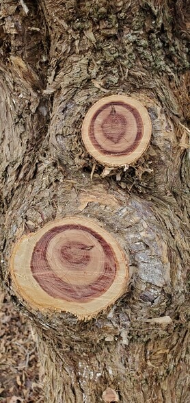 4775 S 50th St, Aldrich, MO for sale - Building Photo - Image 3 of 29