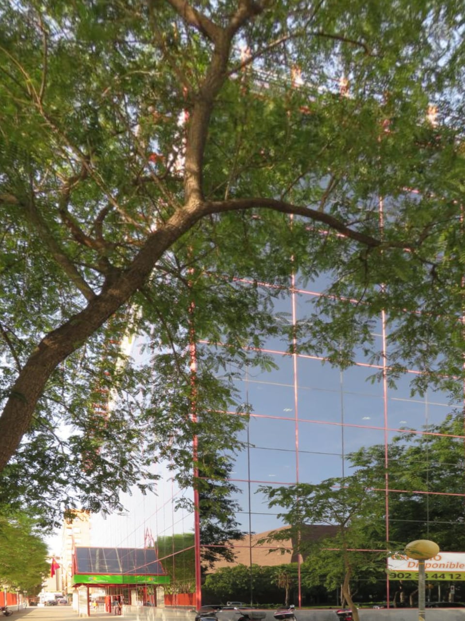 Calle de Ortega y Gasset, 9, Murcia, Murcia for lease Primary Photo- Image 1 of 3