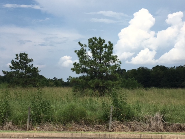 00 Pearland Parkway at Stable Stone Ln, Pearland, TX for sale - Primary Photo - Image 1 of 1