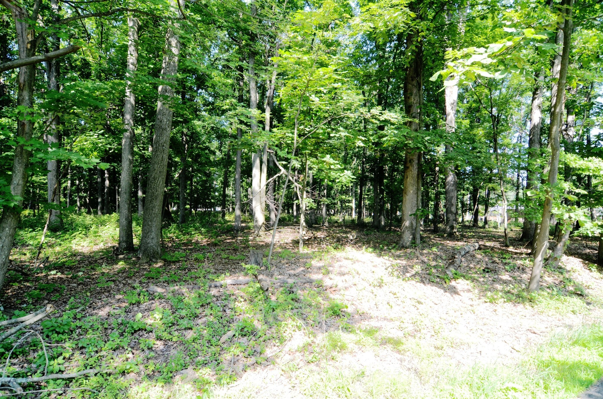 79 Locktown Sergeantsville Rd, Stockton, NJ for sale Other- Image 1 of 1