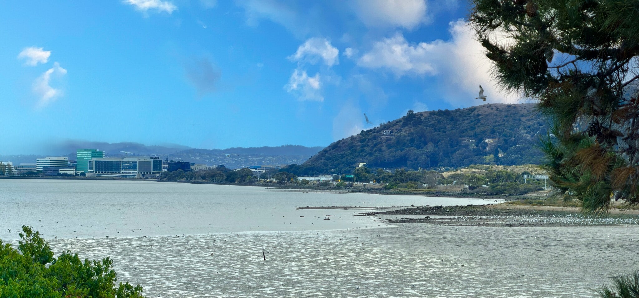 Near Highway 101, Brisbane, CA for sale Primary Photo- Image 1 of 3