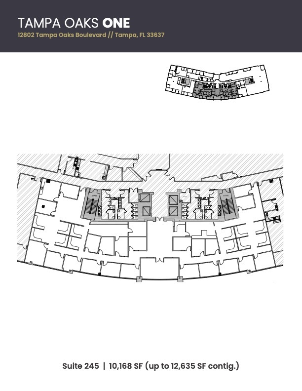 12802 Tampa Oaks Blvd, Tampa, FL for lease Floor Plan- Image 1 of 2