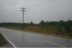 1367 Bear Grass Rd W, Longs, SC for sale - Primary Photo - Image 1 of 1