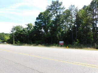 More details for 7037 U.S. 31, Calera, AL - Land for Sale