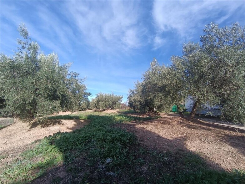 Land in Fuensanta de Martos for sale - Building Photo - Image 2 of 3