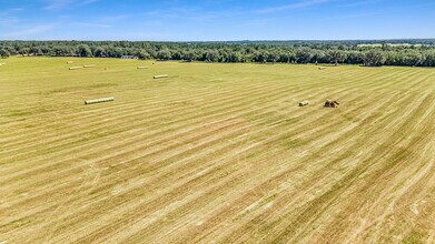1110 US Highway 280 W, Reidsville, GA - AERIAL map view - Image1