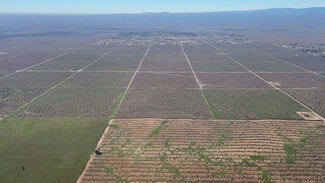 More details for N. side of Ave 19 1/2 E. of Rd. 28 1/2 ave, Madera, CA - Land for Sale