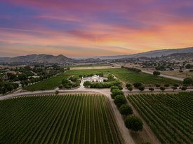 Agua Dulce Winery - Vineyard