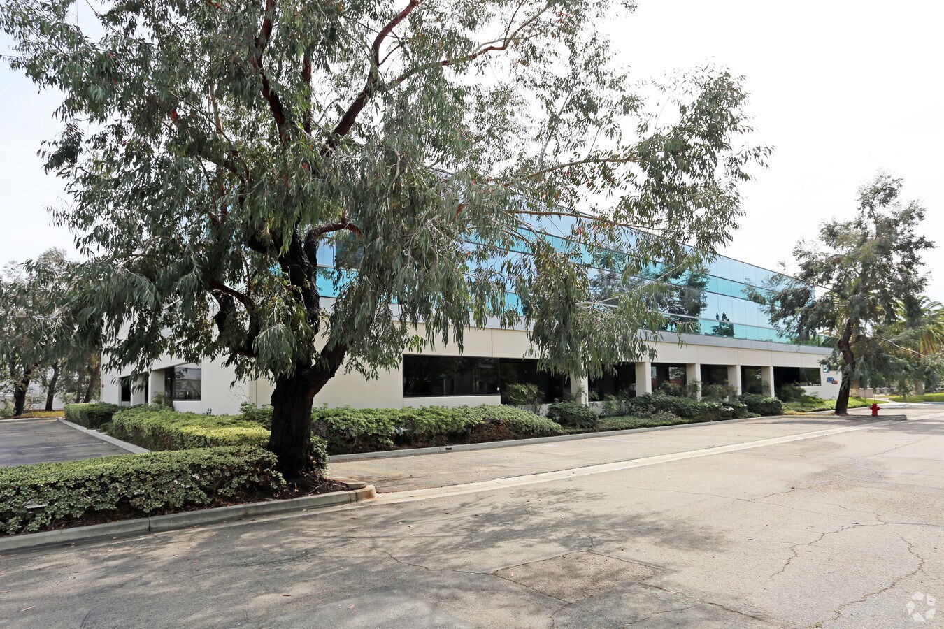 View Photo