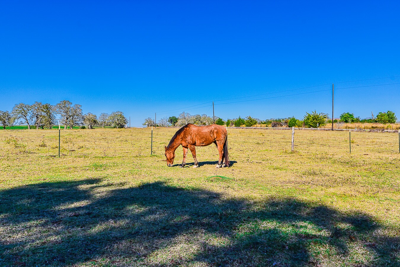 2864 Fm 155 S, Hallettsville, TX 77964