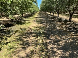 Jacobs Corner Almonds - Commercial Real Estate