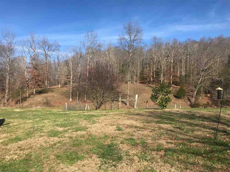 3433 Bugtussle Rd, Gamaliel, KY 42140