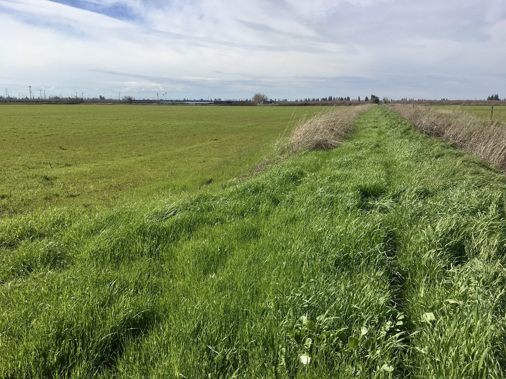 Dewitt Rd, Modesto, CA for sale Other- Image 1 of 1