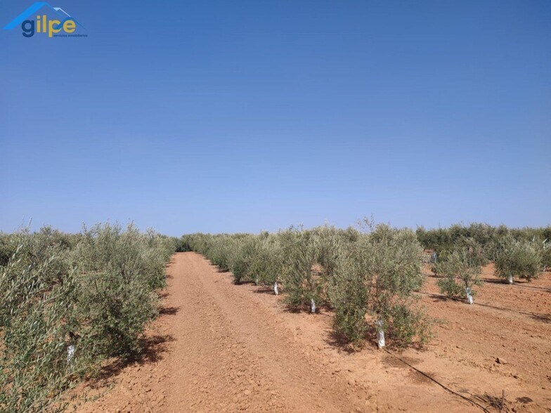 Land in Arahal for sale - Building Photo - Image 2 of 6