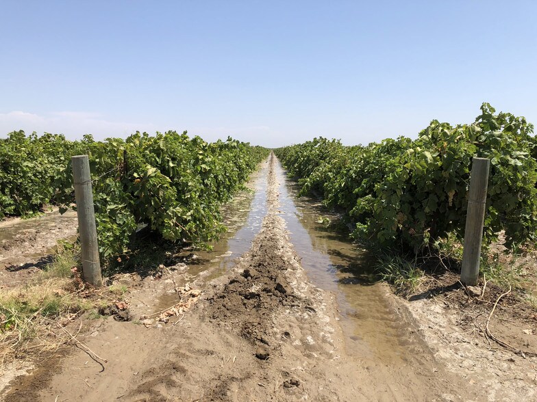 Firebaugh Ave, 1 Mi SW Of Ave 12, Madera, CA 93637