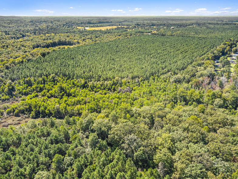 Hwy 157, Princeton, LA for sale - Aerial - Image 2 of 4