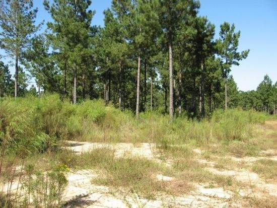 402 Acres In Pearl River County Ms, Poplarville, MS for sale - Primary Photo - Image 1 of 1