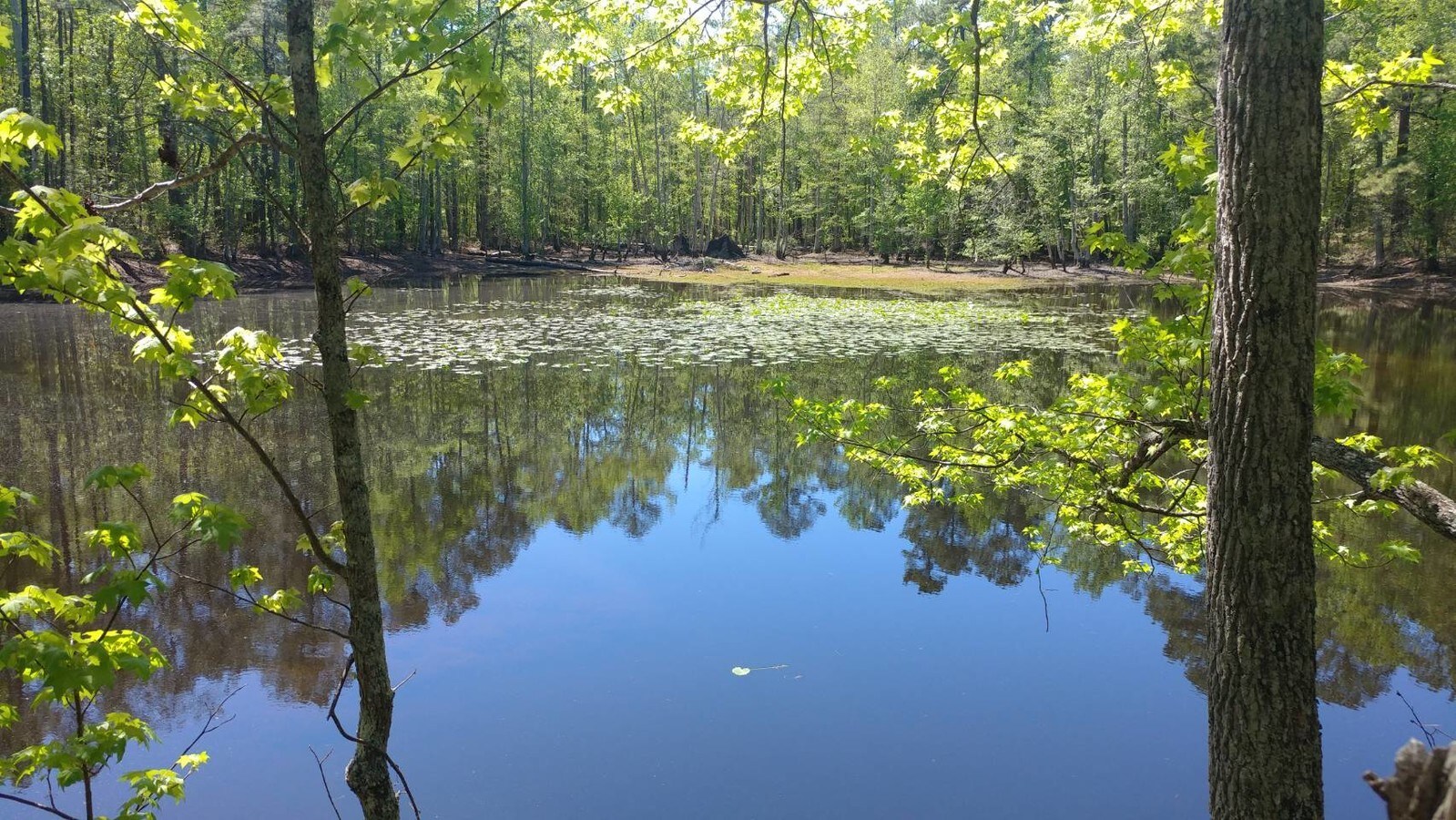 0 Garners Ferry Rd, Eastover, SC 29044