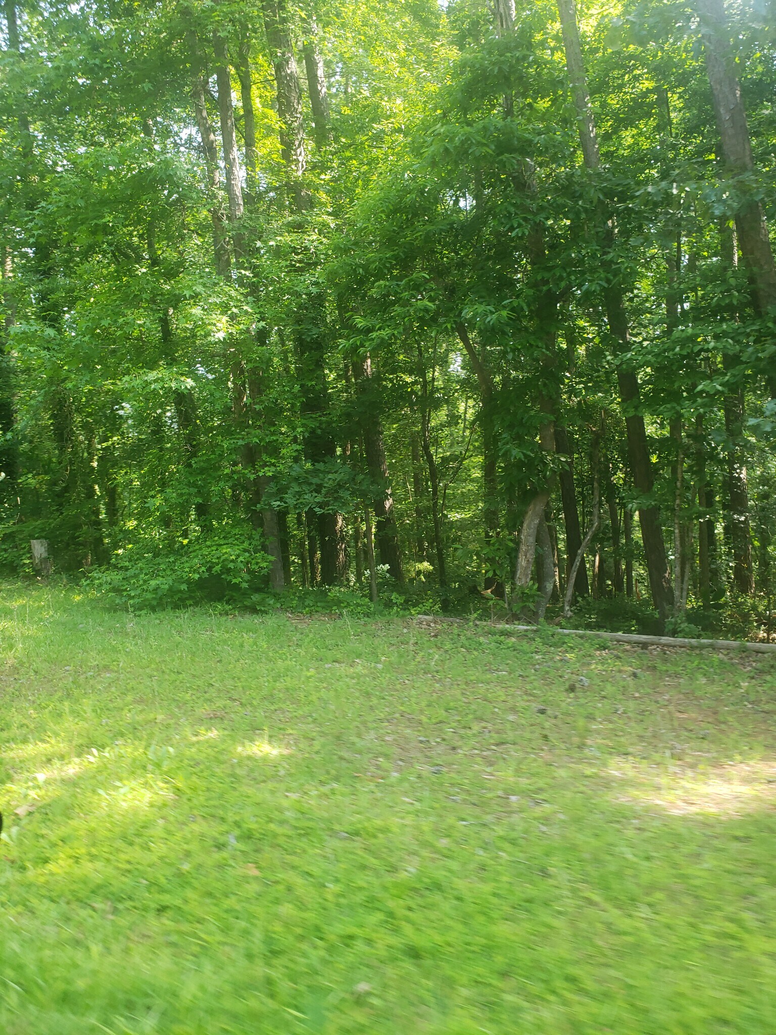 694 Pine Needle, Hampton, GA for sale Primary Photo- Image 1 of 2