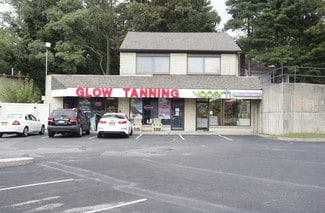 More details for 229 Smithtown Blvd, Nesconset, NY - Retail for Lease