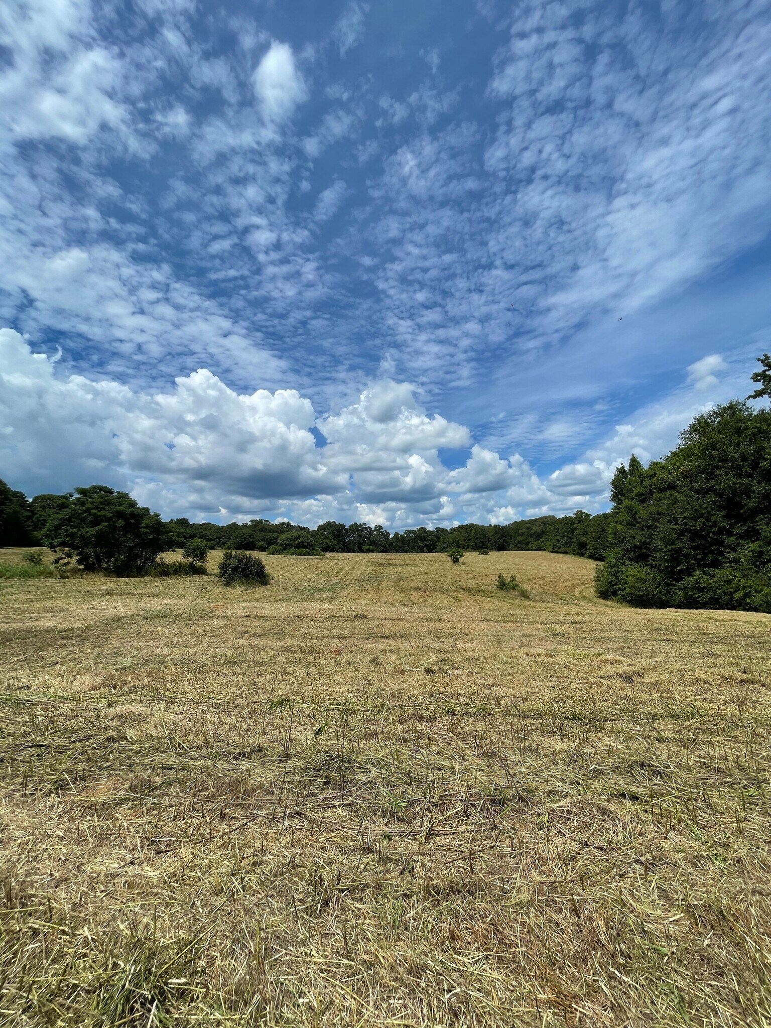 Benson Ham Rd, Forsyth, GA 31029