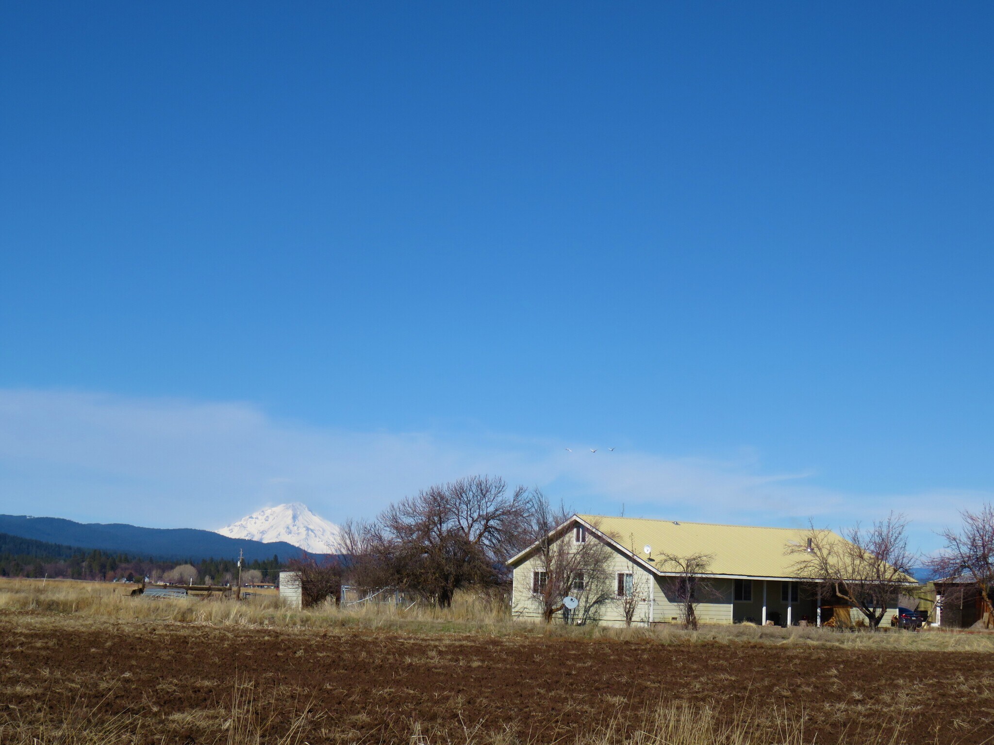 41857 McArthur Rd, Fall River Mills, CA for sale Primary Photo- Image 1 of 1