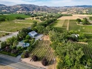 Starlite Vineyards - Vineyard