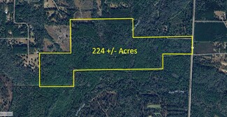 More details for Gamble Road, Monticello, FL - Land for Sale