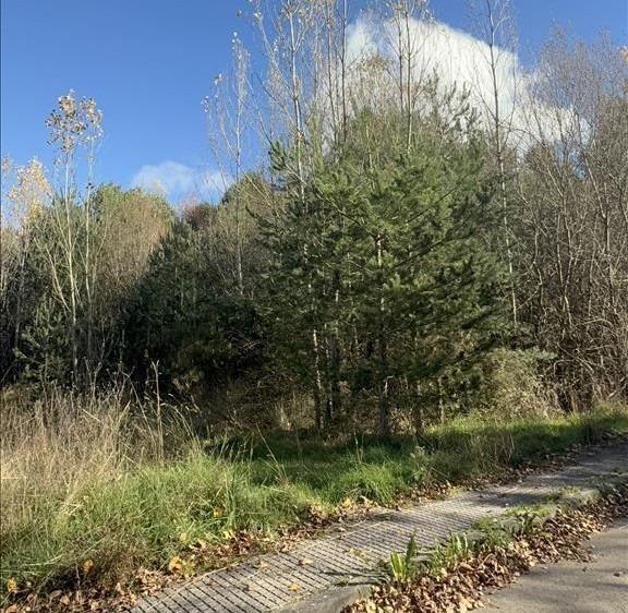 Land in Boñar for sale - Building Photo - Image 1 of 8