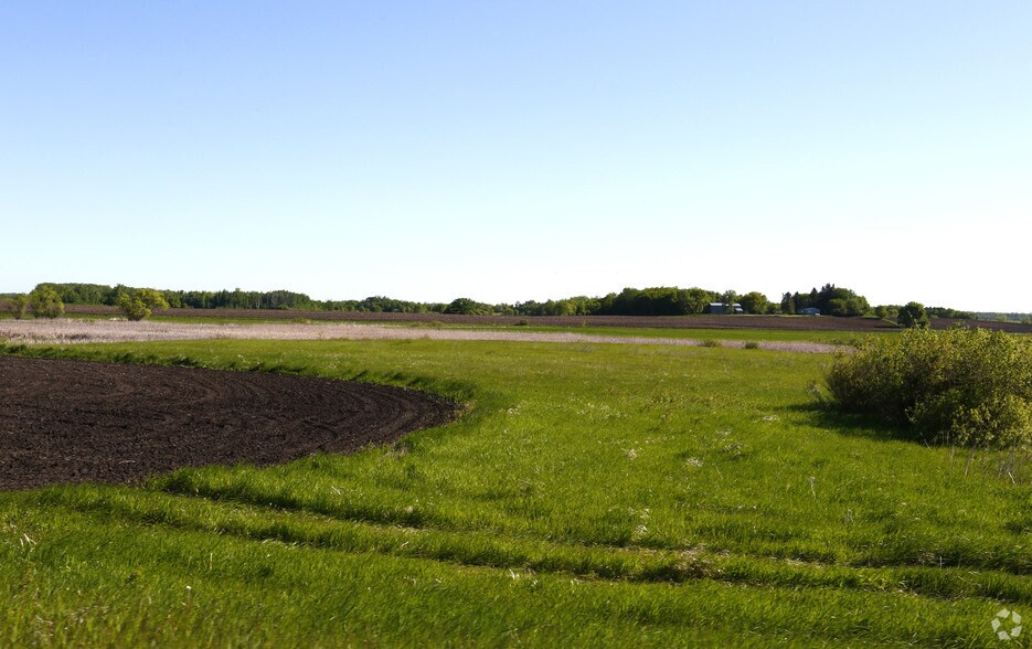 10191 County Road 82 SE, Nelson, MN for sale - Primary Photo - Image 1 of 1