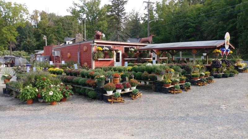 1401 State Route 302, Middletown, NY for sale - Building Photo - Image 1 of 1