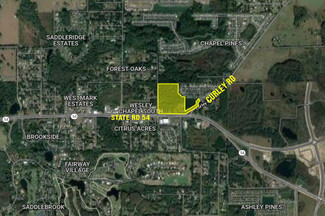 More details for State Road 54, Wesley Chapel, FL - Land for Sale