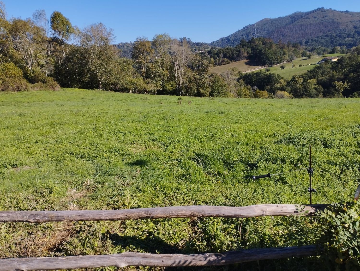 Barrio la Capilla, S/N, Nava, Asturias for sale Building Photo- Image 1 of 32