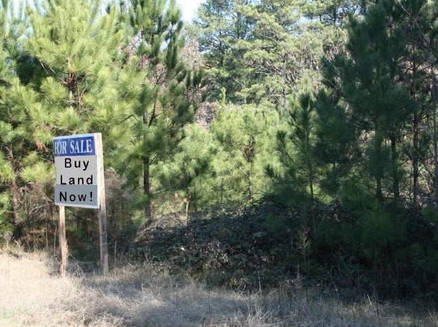 1367 Norton Rd, Conyers, GA for sale Primary Photo- Image 1 of 1