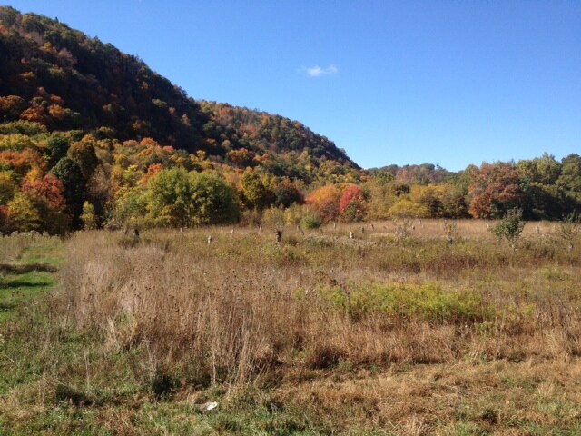 59 Esopus Ave, Esopus, NY for sale - Primary Photo - Image 1 of 1