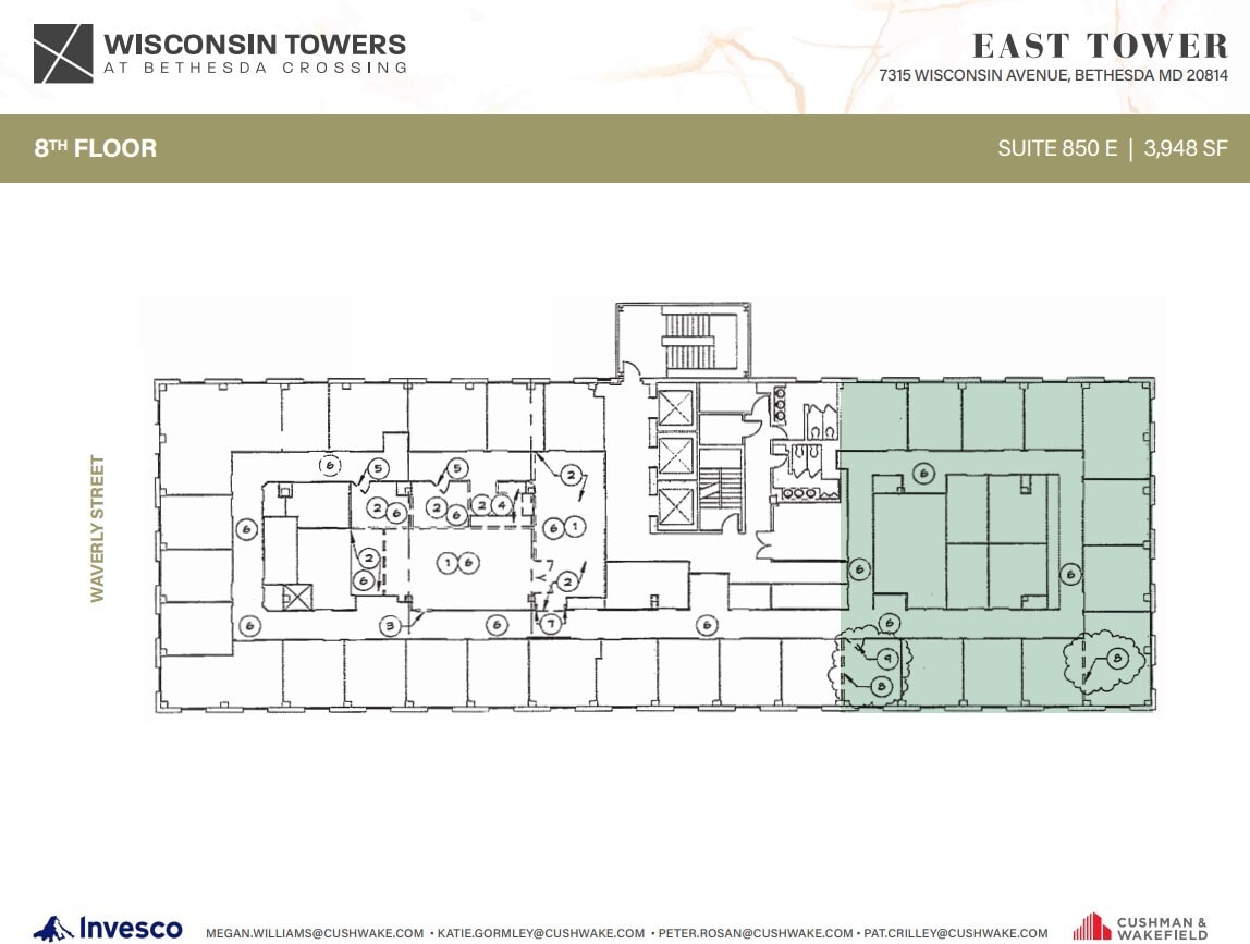 7315 Wisconsin Ave, Bethesda, MD for lease Floor Plan- Image 1 of 1