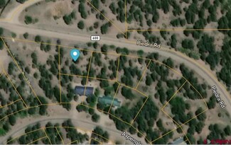 More details for 2266 Co 600 rd, Pagosa Springs, CO - Land for Sale