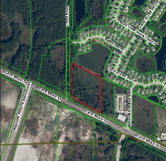 31507 State Road 54, Wesley Chapel, FL 33543 Land for Sale