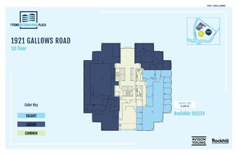 1919-1921 Gallows Rd, Vienna, VA for lease Floor Plan- Image 1 of 1