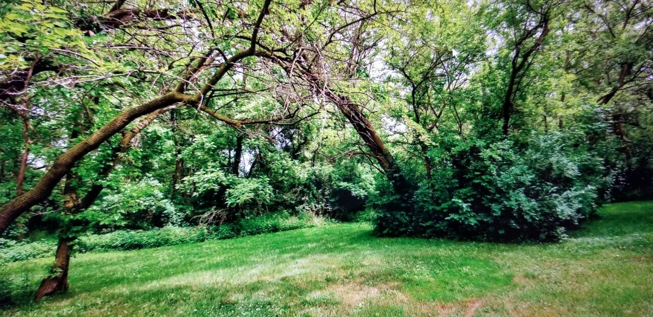 819 29th St, Zion, IL for sale Primary Photo- Image 1 of 1