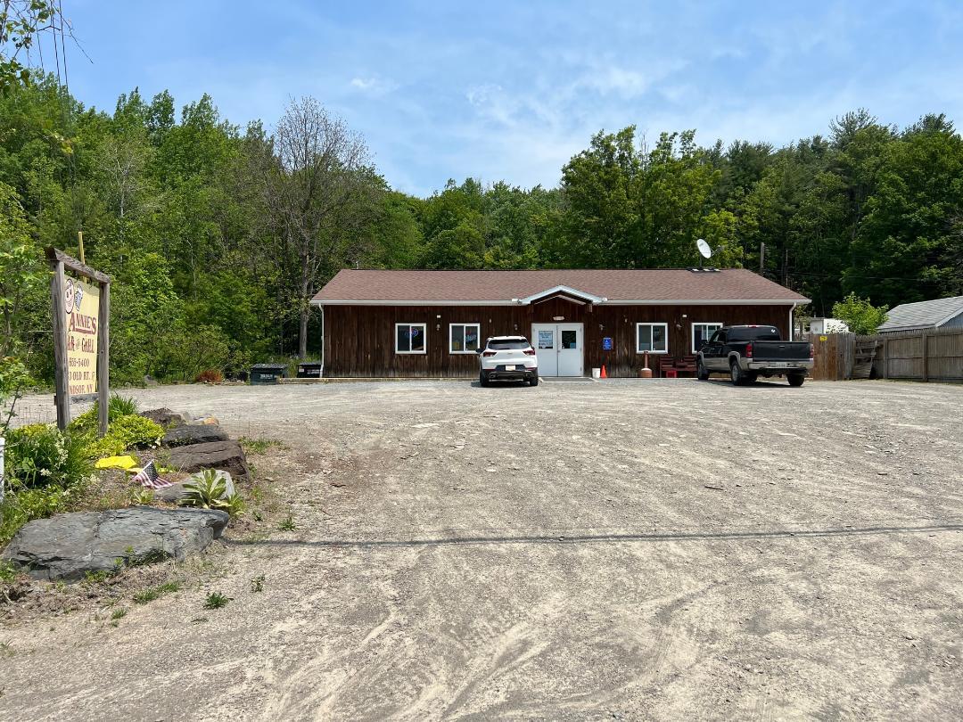 1083 Old Route 17, Windsor Township, NY for sale Building Photo- Image 1 of 1