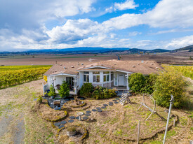 Vin Dillon Vineyard - Vineyard