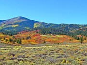 Stoddart Ranch - Land