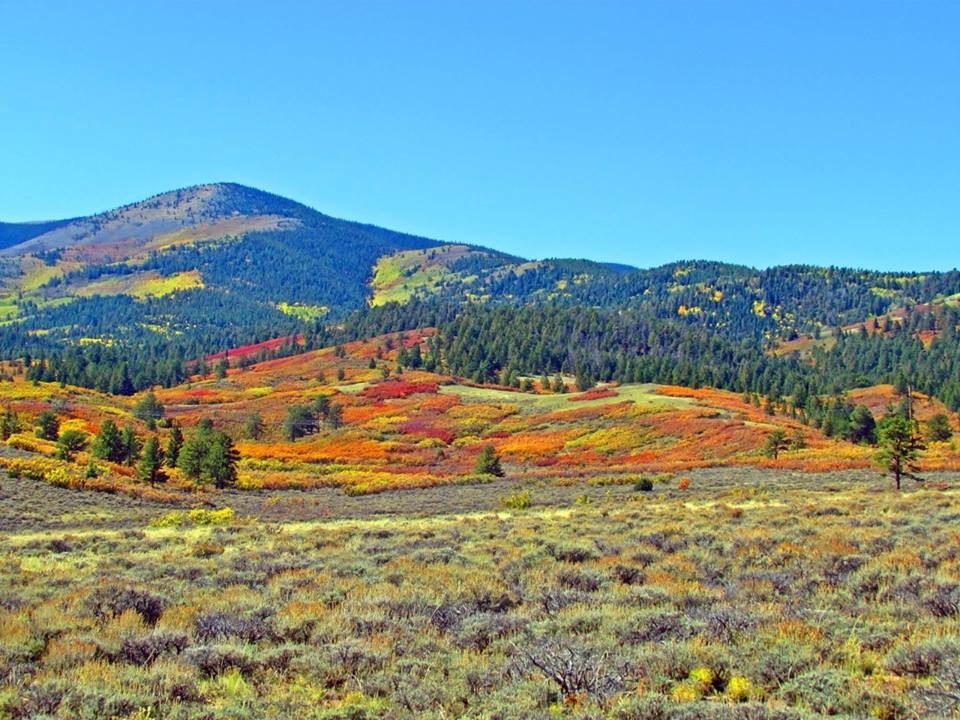 Vacant Highway 285, Villa Grove, CO for sale Other- Image 1 of 35