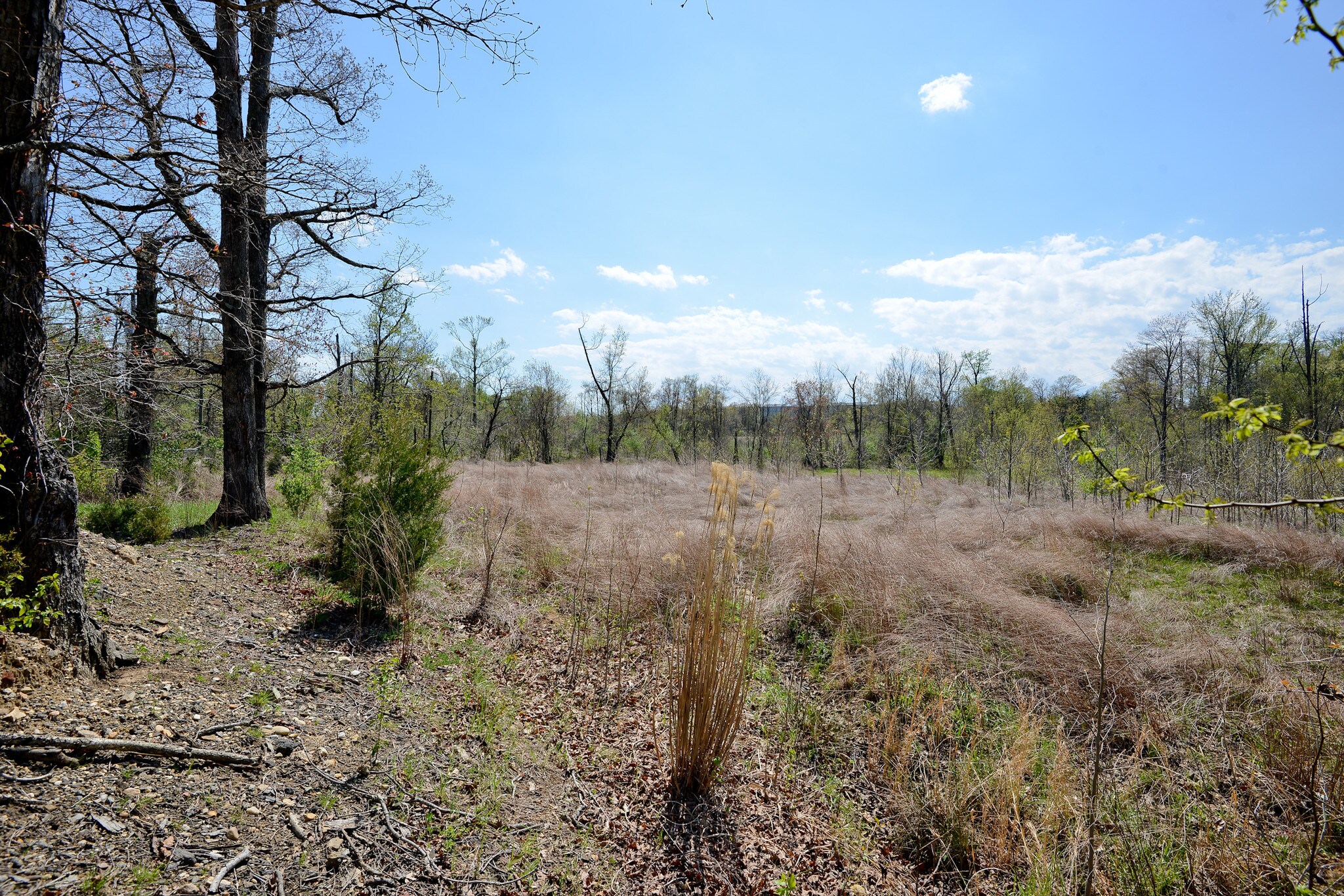 7812 Cinder Bed Rd, Lorton, VA for sale Primary Photo- Image 1 of 1