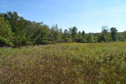 1865 W M-43 Hwy, Hastings, MI for sale - Primary Photo - Image 1 of 1