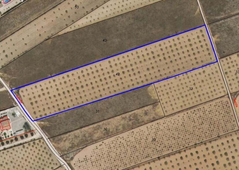 Land in Yecla for sale - Building Photo - Image 3 of 3