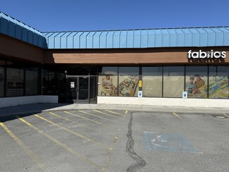 More details for 1830 E Parks Hwy, Wasilla, AK - Retail for Lease