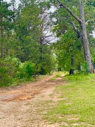 More details for TBD County Road 336, Tyler, TX - Land for Sale